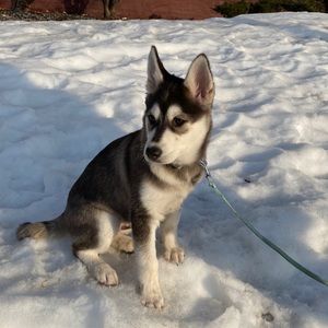 Meet your Posher, Claudia